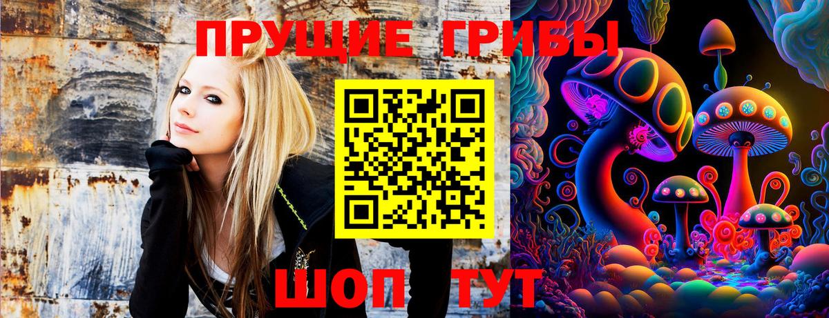 Лыткарино  Галлюциногенные грибы GOLDEN TEACHER  Вход с VPN  Псилоцибиновые грибы Cubensis 