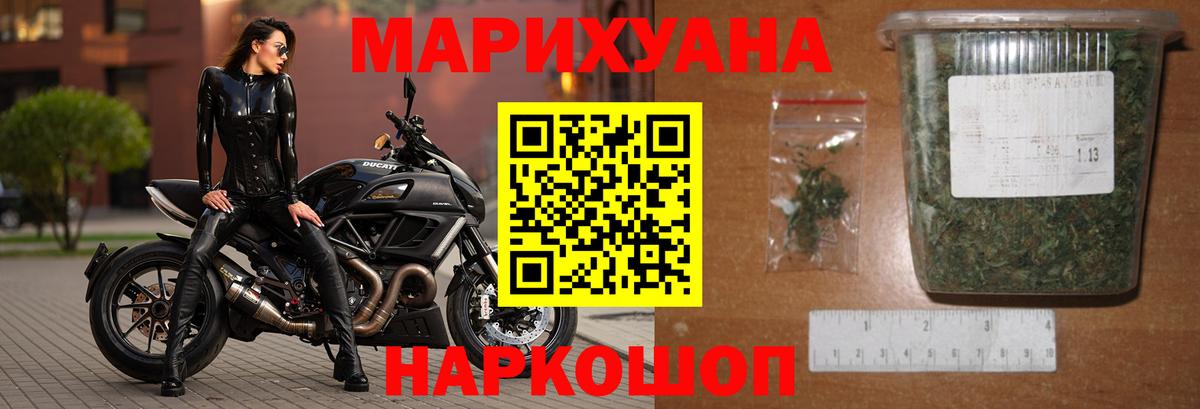 Конопля сатива Лыткарино